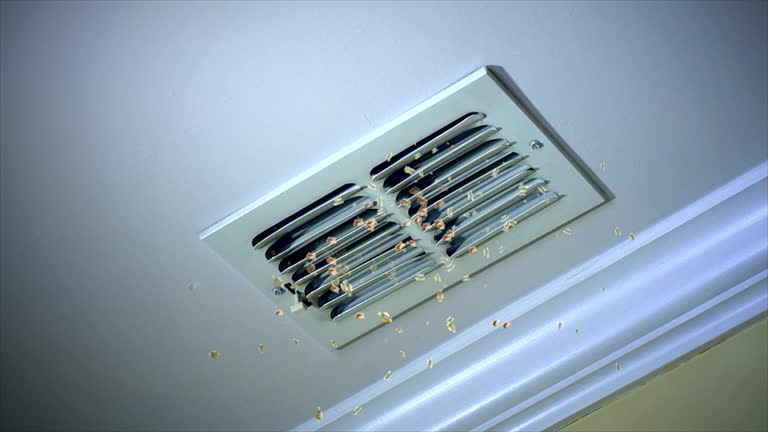 Best Affordable Air Duct Cleaning  in Tishomingo, OK