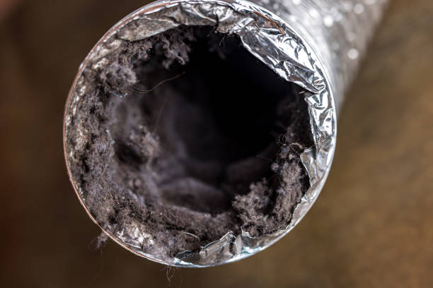 Best Professional Duct Cleaning Services  in Tishomingo, OK